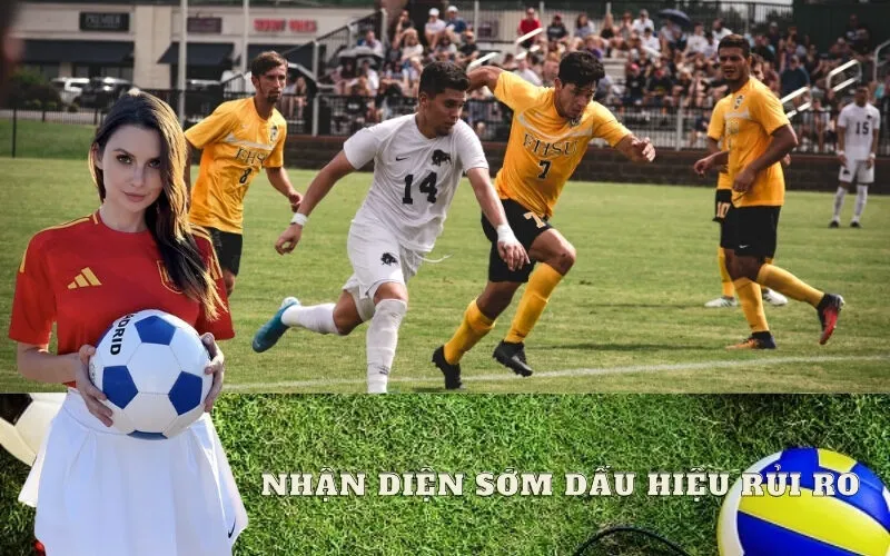 Nhận Diện Sớm Dấu Hiệu Rủi Ro